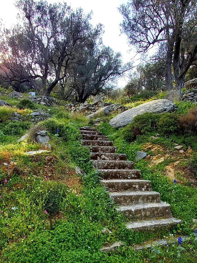 Olivia Villas Raches (Ikaria)