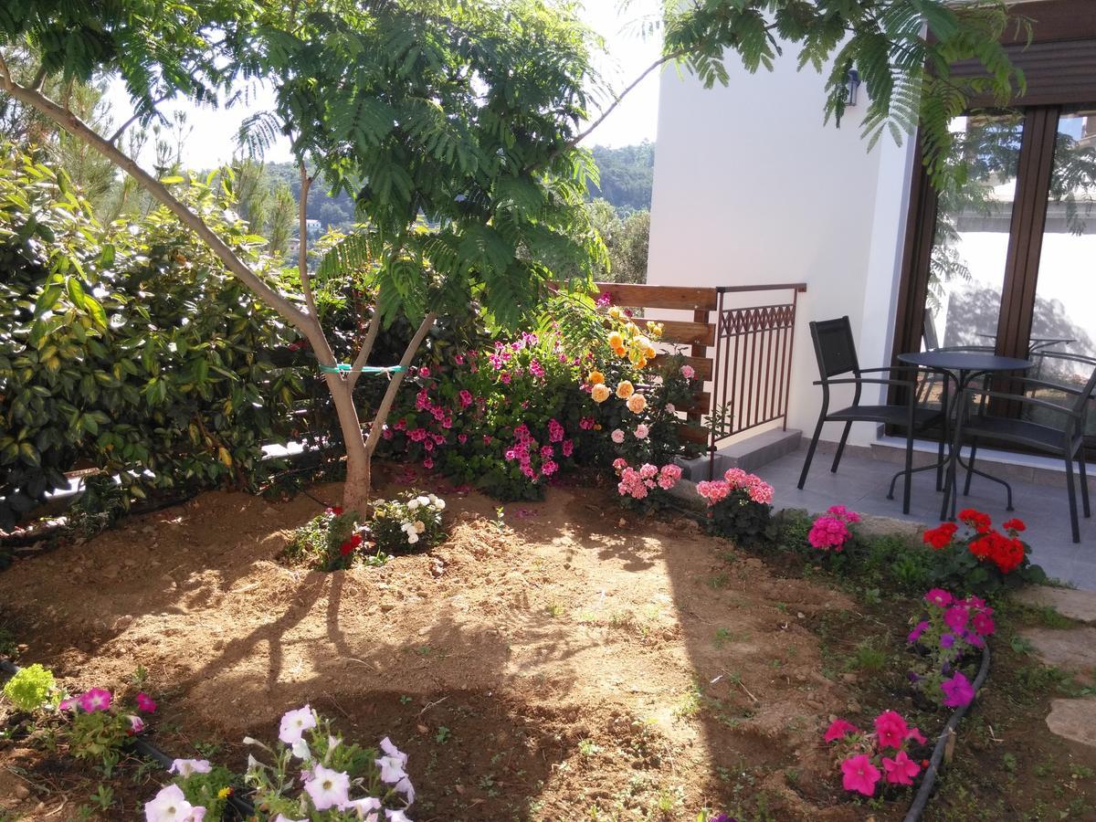 Olivia Villas Raches (Ikaria)